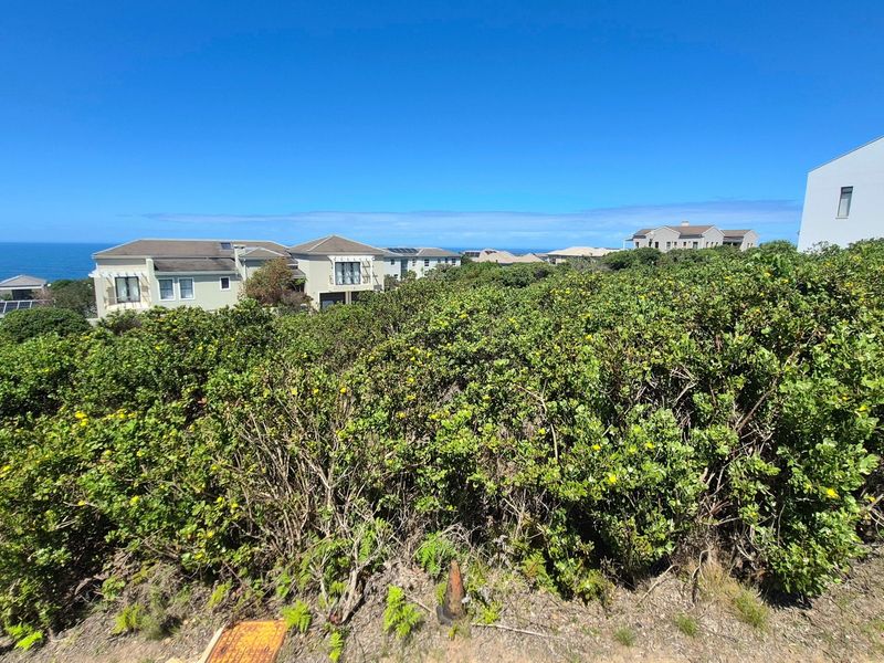 A scenic view overlooking coastal vegetation with residential properties in the background and a clear ocean horizon.