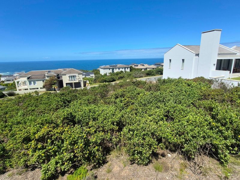 A scenic elevated view overlooking a coastal residential estate with ocean vistas and surrounding natural vegetation.