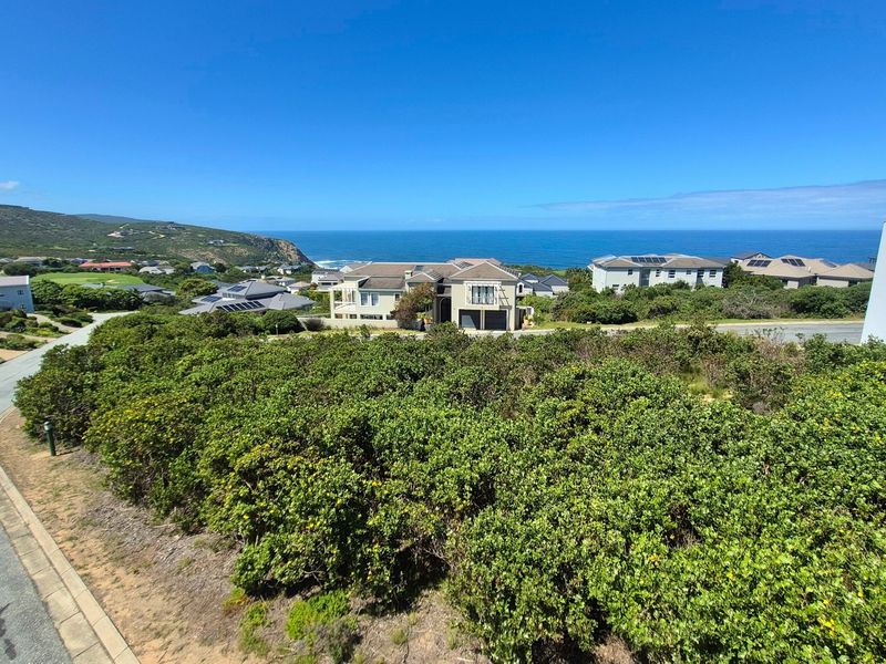 Elevated view overlooking a residential coastal estate with expansive ocean vistas and surrounding natural vegetation.
