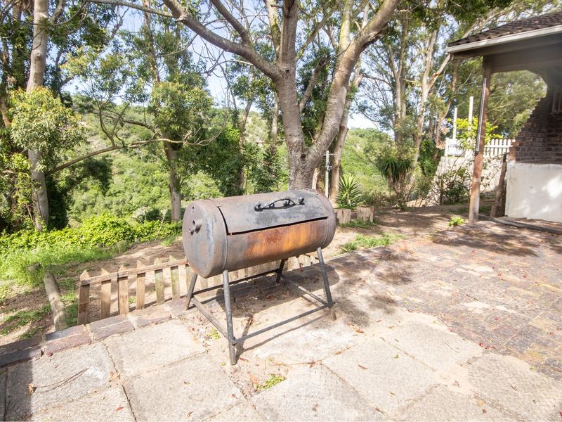 Outdoor paved patio area featuring a built-in brick braai, overlooking a natural wooded garden setting.
