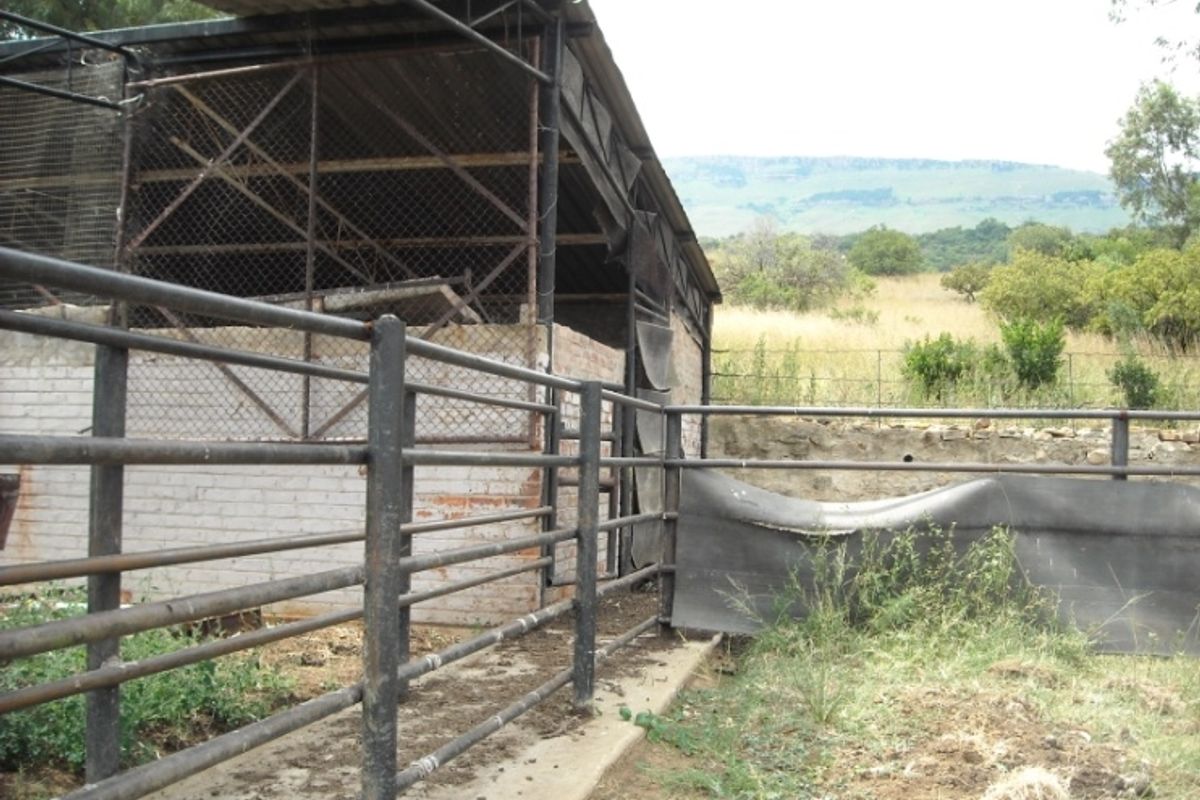 Prime 1428 Ha Game/Grazing farm for sale. - Photo 3