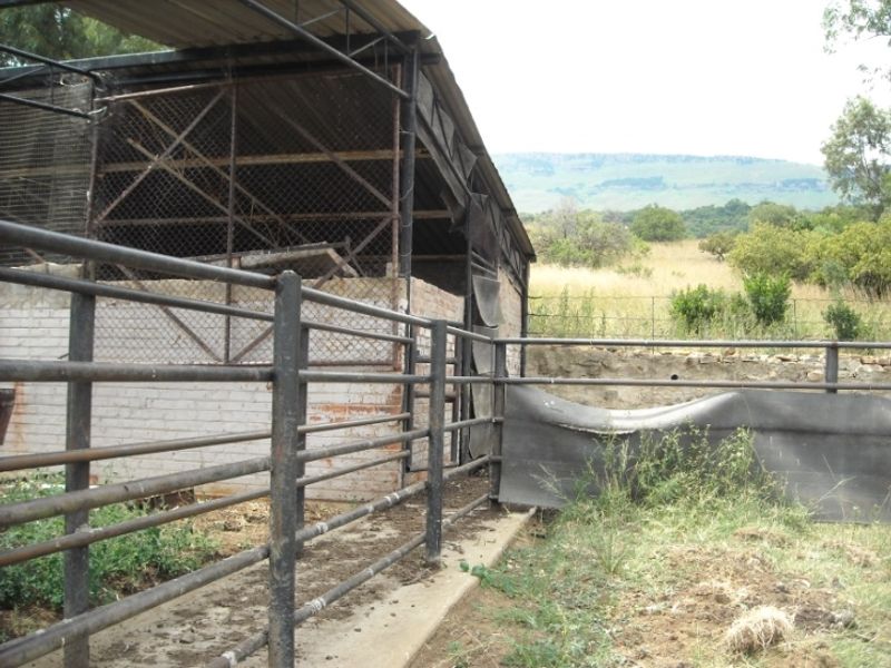 Prime 1428 Ha Game/Grazing farm for sale. - Photo 3
