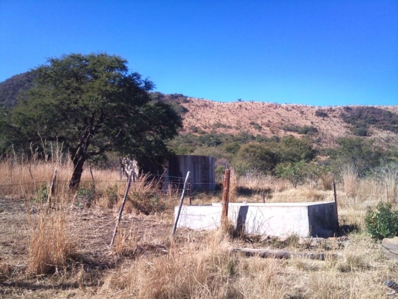 Prime 1428 Ha Game/Grazing farm for sale. - Photo 10