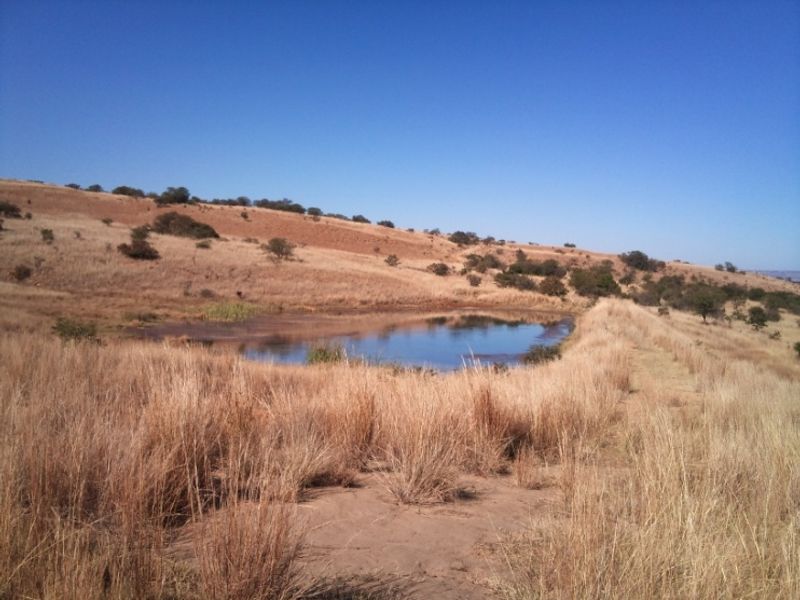 A scenic view of a natural dam situated within the rolling hills of the farm landscape.