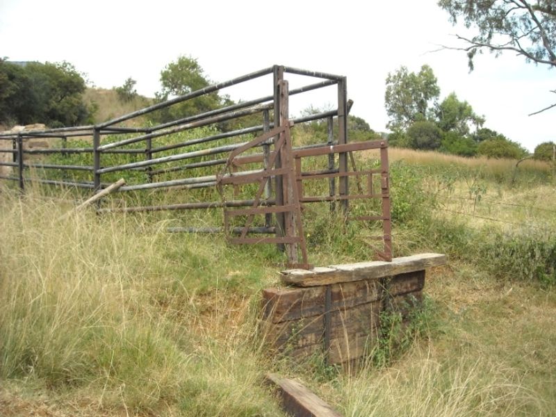 Prime 1428 Ha Game/Grazing farm for sale. - Photo 9