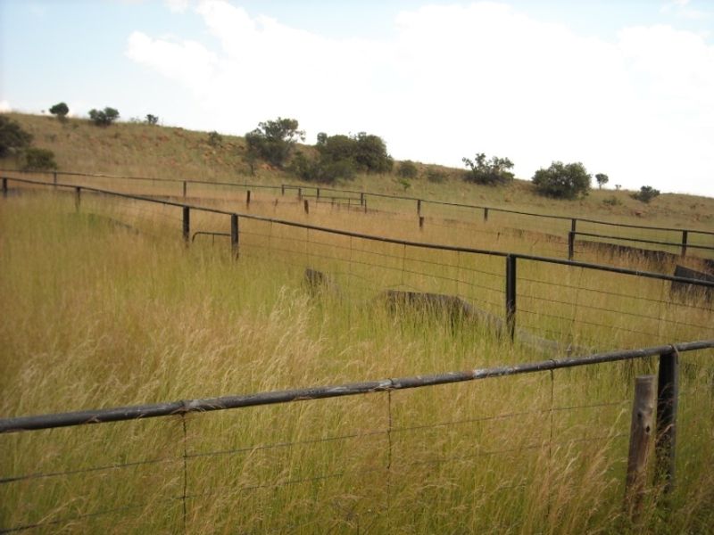 Prime 1428 Ha Game/Grazing farm for sale. - Photo 8