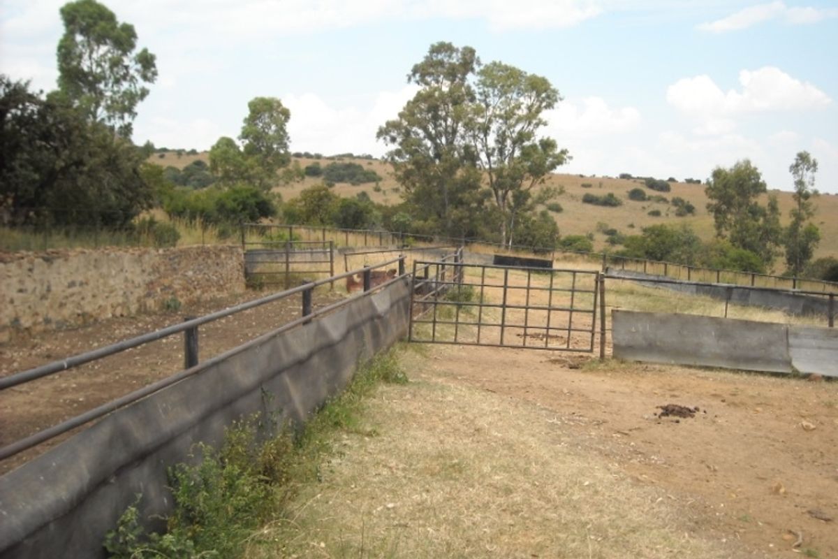 Prime 1428 Ha Game/Grazing farm for sale. - Photo 5