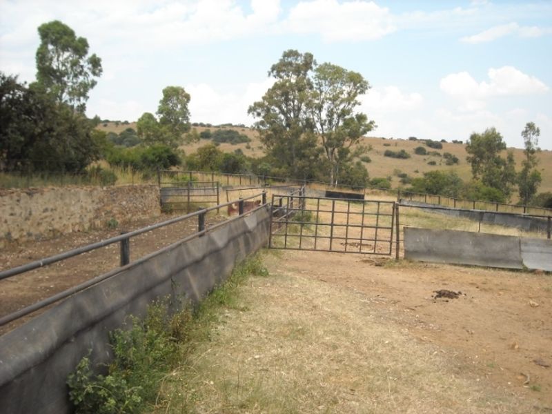 Prime 1428 Ha Game/Grazing farm for sale. - Photo 5