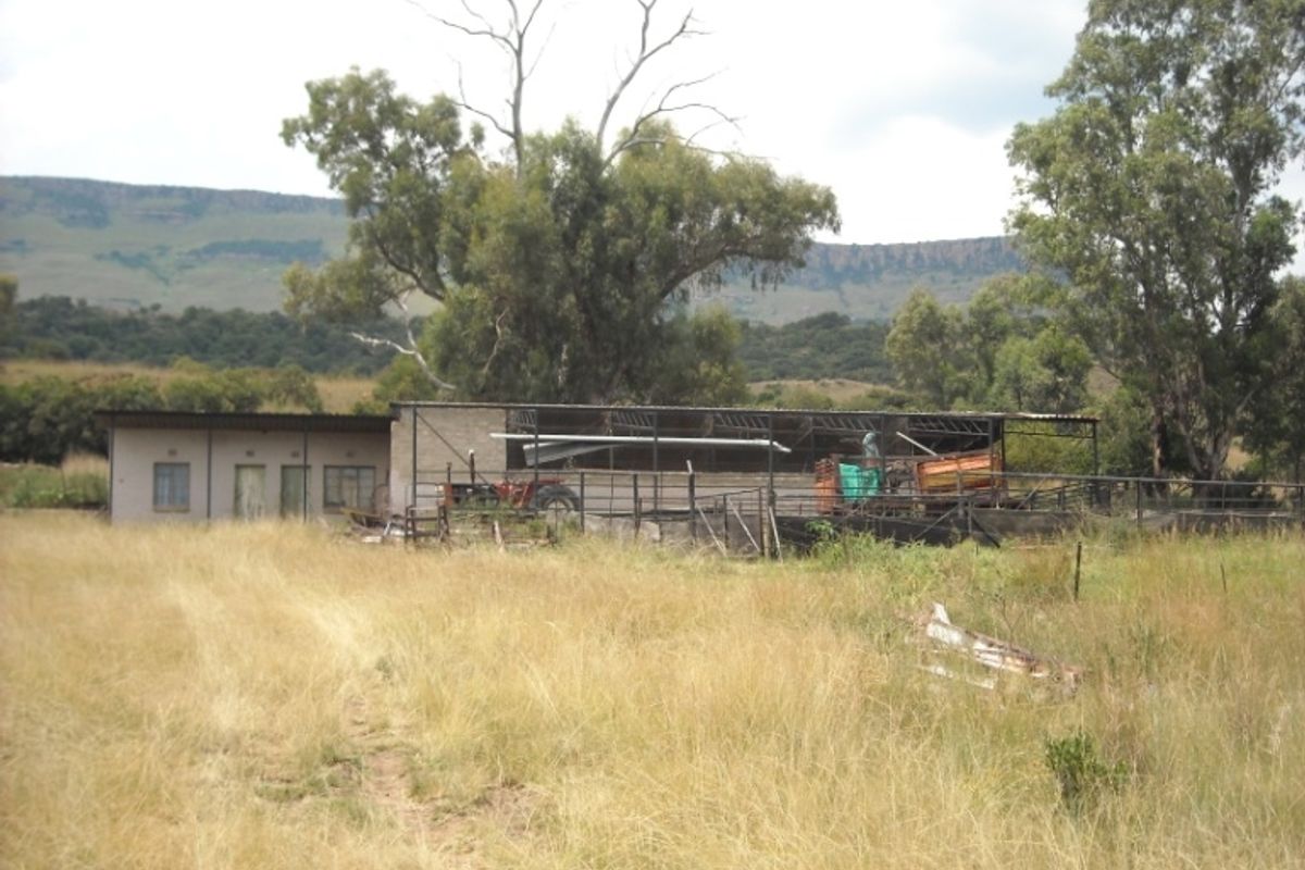 Prime 1428 Ha Game/Grazing farm for sale. - Photo 2