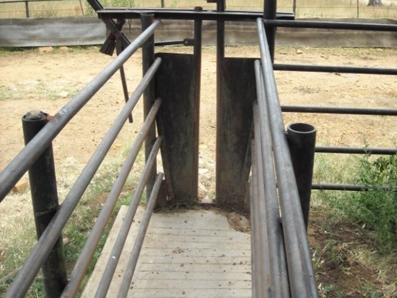 Prime 1428 Ha Game/Grazing farm for sale. - Photo 4