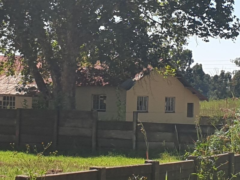 Investors dream. - Photo 8