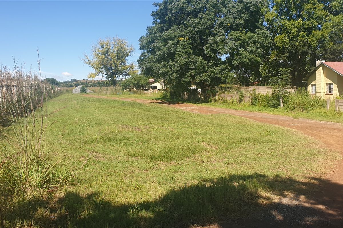 Investors dream. - Photo 3