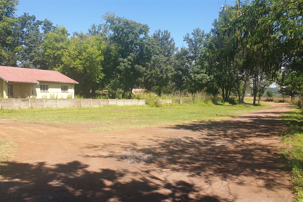 Investors dream. - Photo 4