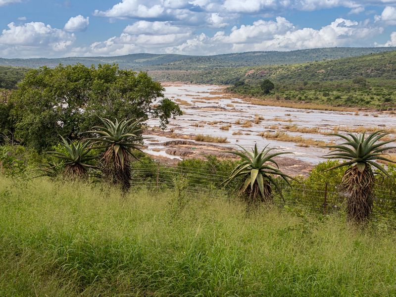 Build Your Dream Escape in Shawu’s Hills Estate – Prime Vacant Land for Sale in the Heart of Nature - Photo 8