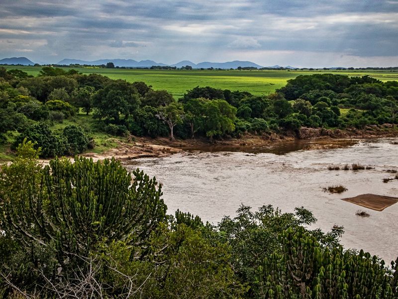 Build Your Dream Escape in Shawu’s Hills Estate – Prime Vacant Land for Sale in the Heart of Nature - Photo 6