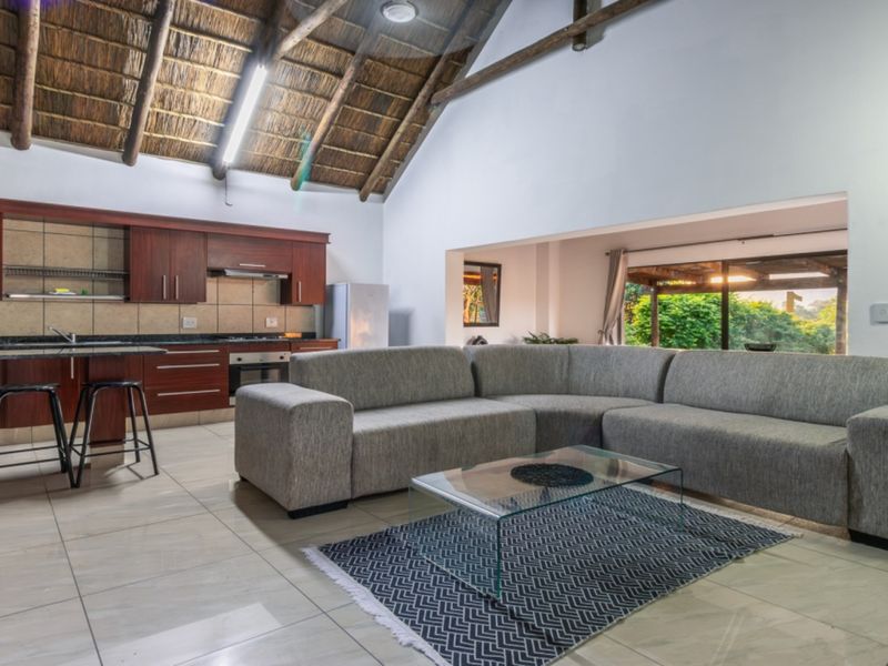 Spacious open-plan living area featuring a high thatched ceiling with exposed rafters, integrated kitchen cabinetry, and direct access to an outdoor patio space.