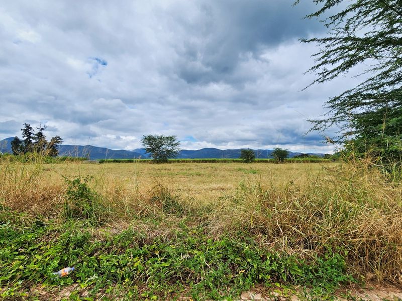 A wide-angle view of an expansive vacant commercial plot featuring natural vegetation and scenic mountain views in the background.