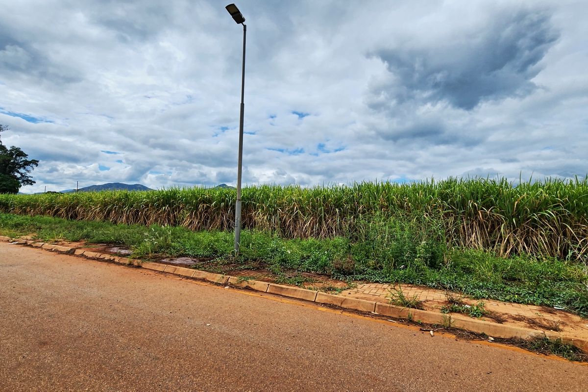 A view of the street frontage showing the asphalt road, paved curb, and street lighting adjacent to the undeveloped land.