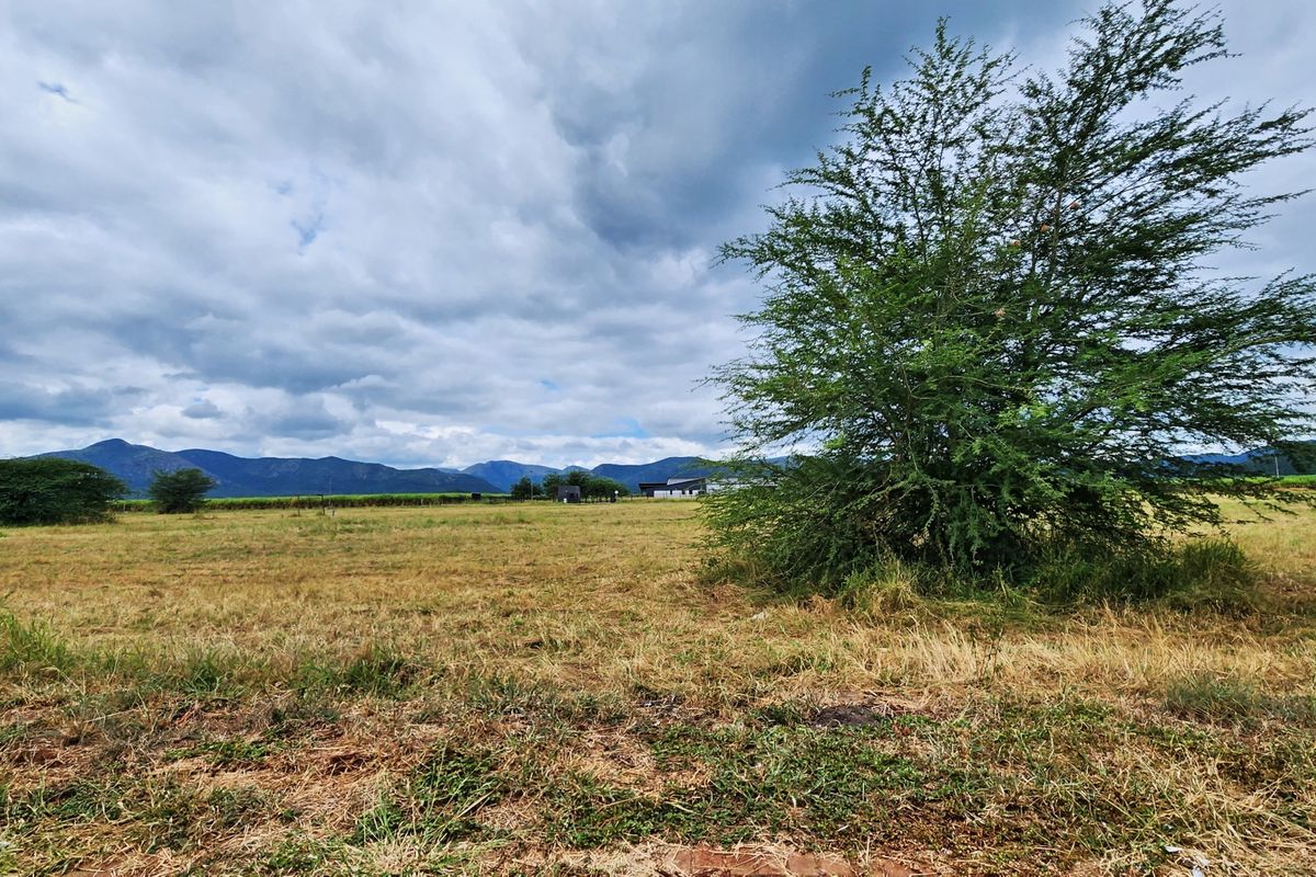 A wide-angle view of the vacant commercial land featuring open grass fields, a large mature tree, and distant mountain scenery.