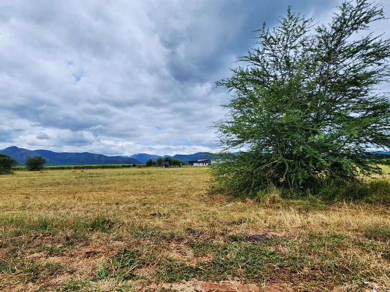 A wide-angle view of the vacant commercial land featuring open grass fields, a large mature tree, and distant mountain scenery.