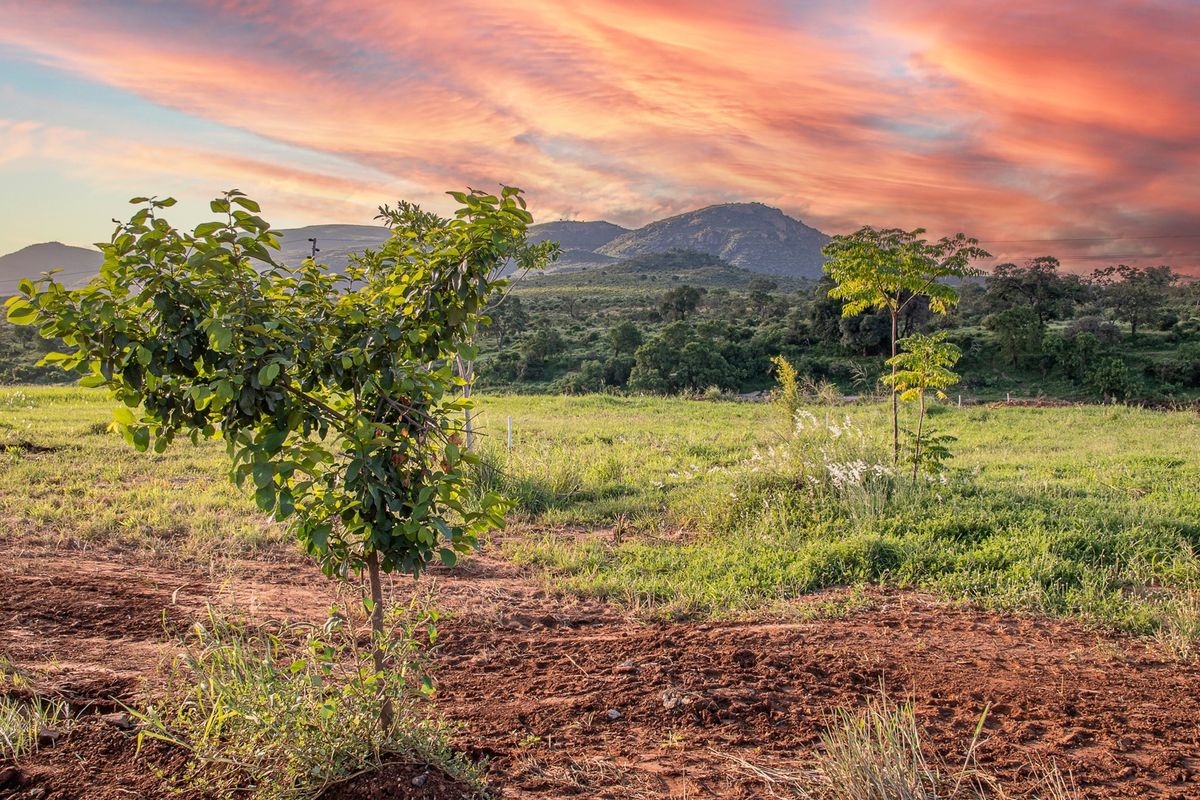 A scenic view of the vacant residential land featuring natural vegetation and a mountain backdrop at sunset.