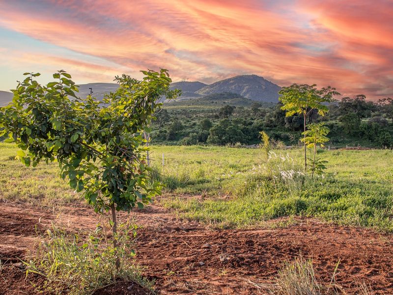 A scenic view of the vacant residential land featuring natural vegetation and a mountain backdrop at sunset.