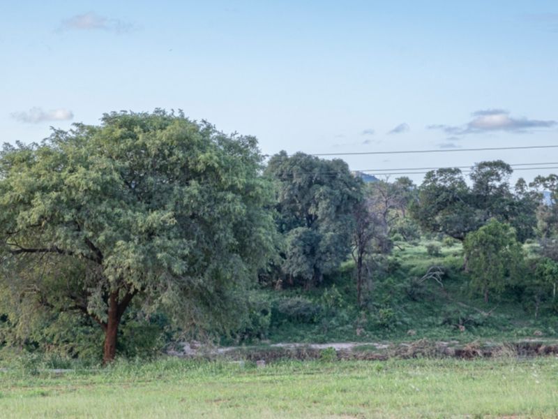A view of the vacant residential land featuring natural vegetation, mature trees, and open grassy areas under a clear sky.