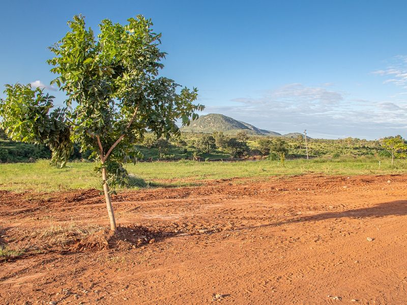 A view of a vacant residential plot featuring natural terrain, a young tree, and scenic mountain views in the background.