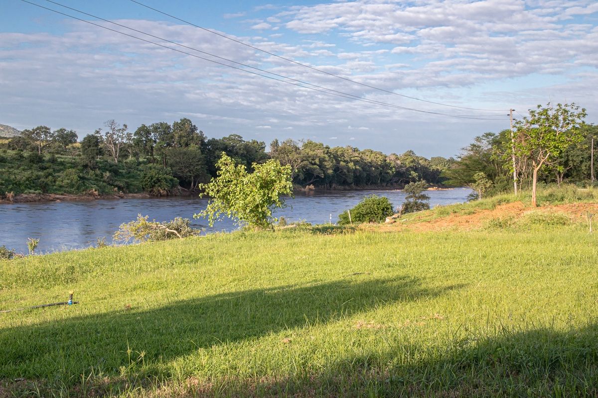 A scenic view of a riverfront residential plot featuring lush green grass and mature trees along the riverbank.