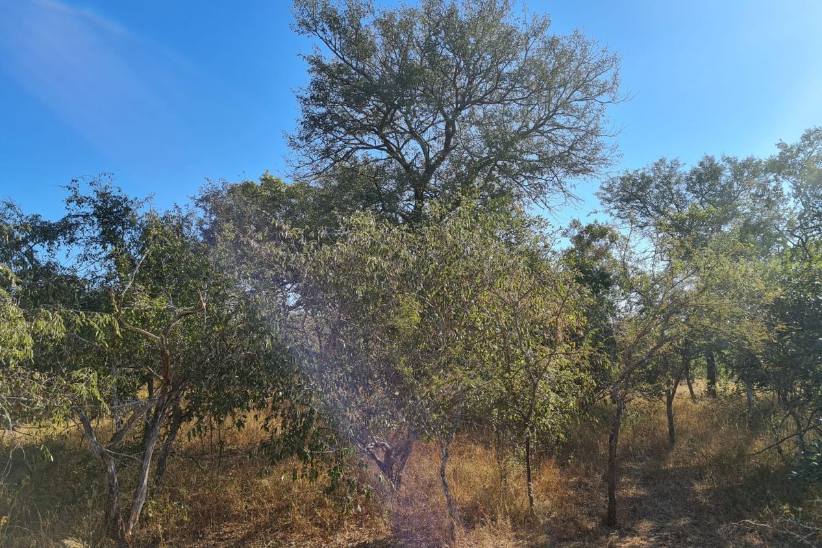 Vacant Land For Sale in Hectorspruit! - Photo 2