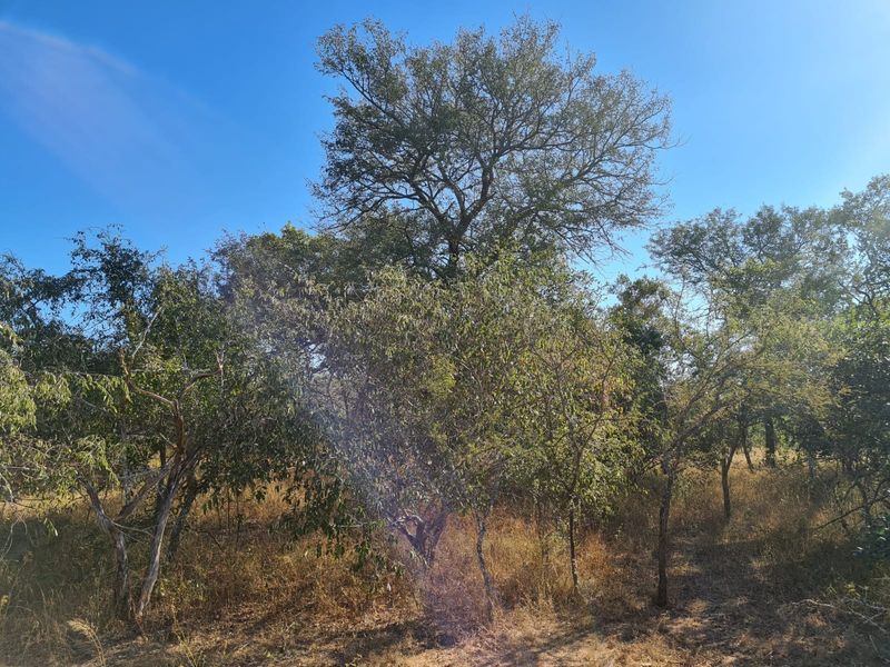 Vacant Land For Sale in Hectorspruit! - Photo 2