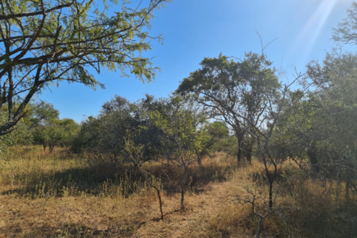 Vacant Land For Sale in Hectorspruit! - Photo 4