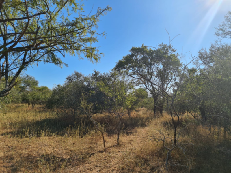 Vacant Land For Sale in Hectorspruit! - Photo 4