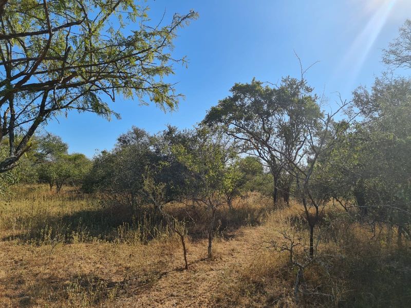 Vacant Land For Sale in Hectorspruit! - Photo 3