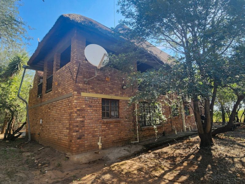 Rear view of a two-story face brick house featuring a traditional thatched roof, set within a natural wooded environment.