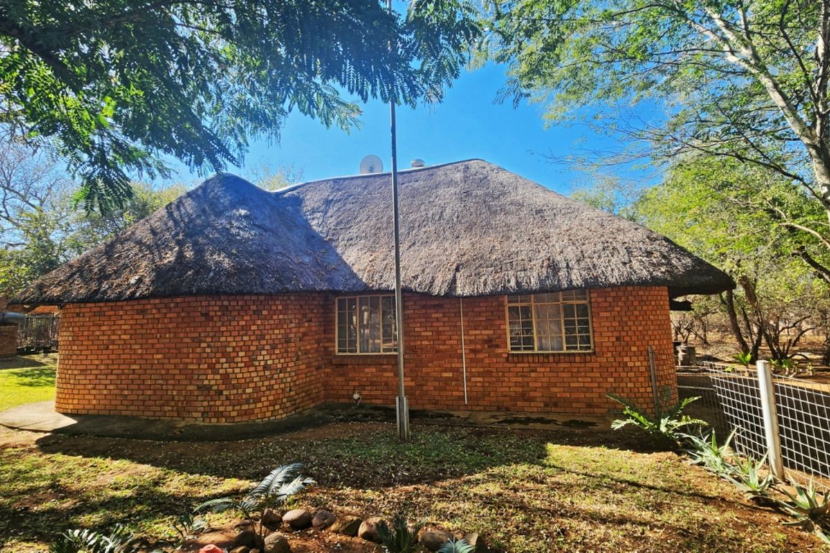 Rear view of a traditional face brick house featuring a classic thatch roof, set within a natural, tree-lined garden environment.