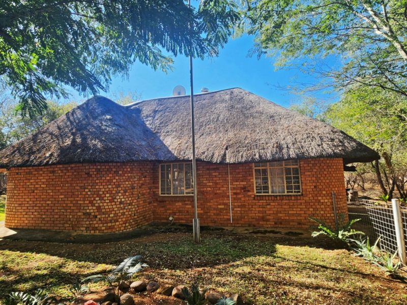 Rear view of a traditional face brick house featuring a classic thatch roof, set within a natural, tree-lined garden environment.