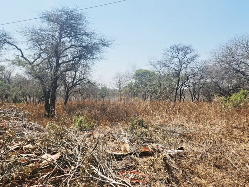 A view of a vacant residential plot featuring mature trees and dry, overgrown vegetation, suitable for future development.