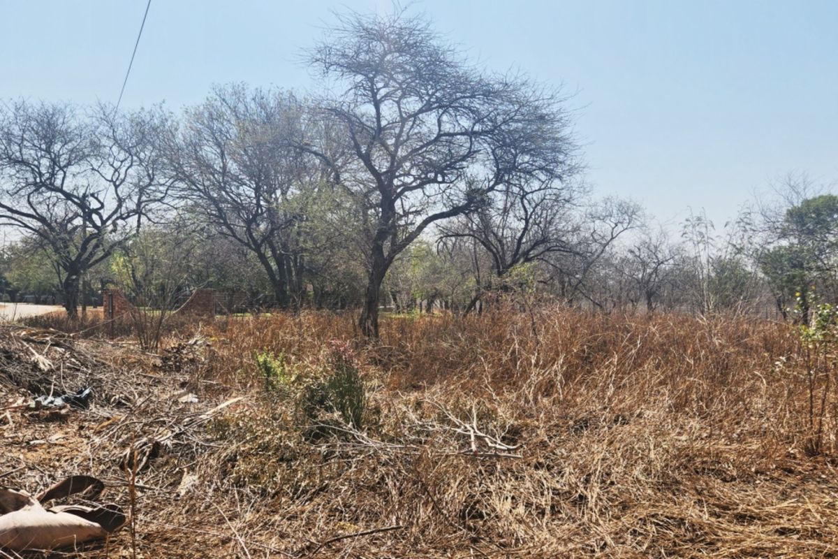 A view of a vacant residential plot featuring mature trees and dry, overgrown vegetation, suitable for future development.