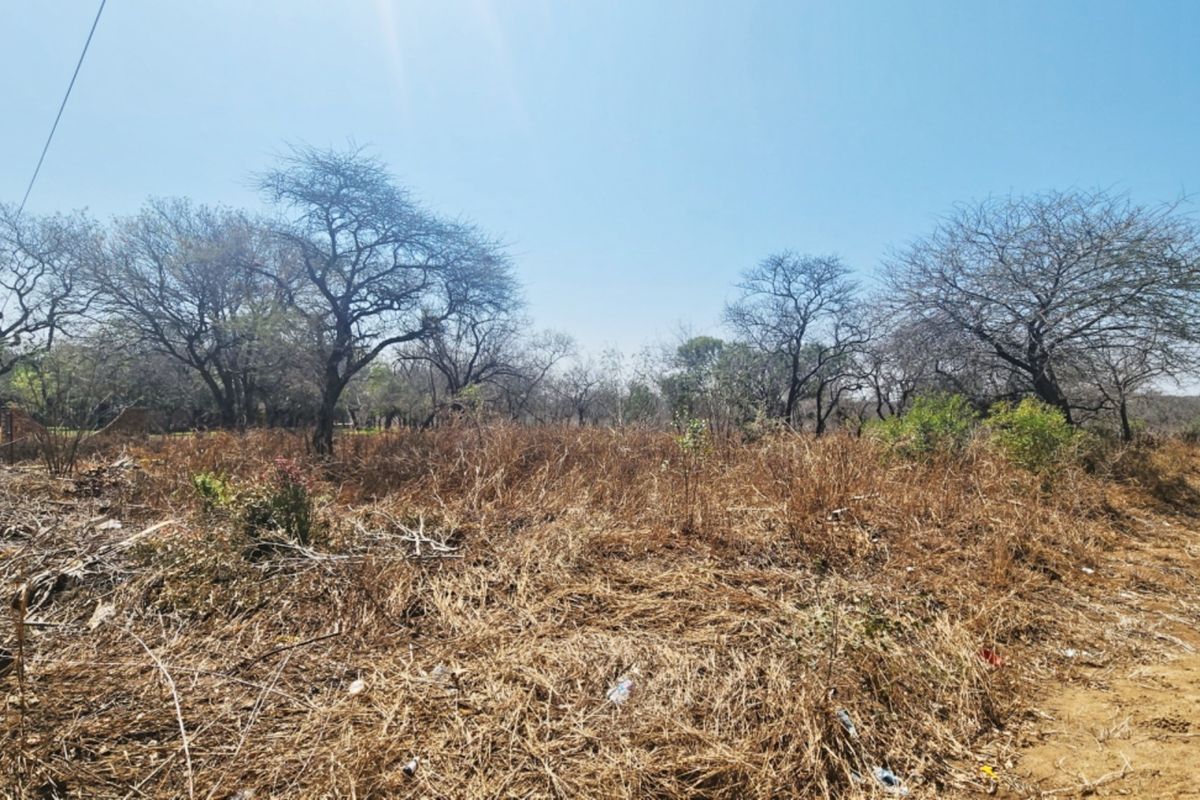 A vacant residential plot featuring dry, overgrown vegetation, mature trees, and a perimeter wall with electric fencing.