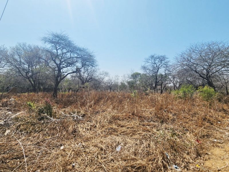 A vacant residential plot featuring dry, overgrown vegetation, mature trees, and a perimeter wall with electric fencing.