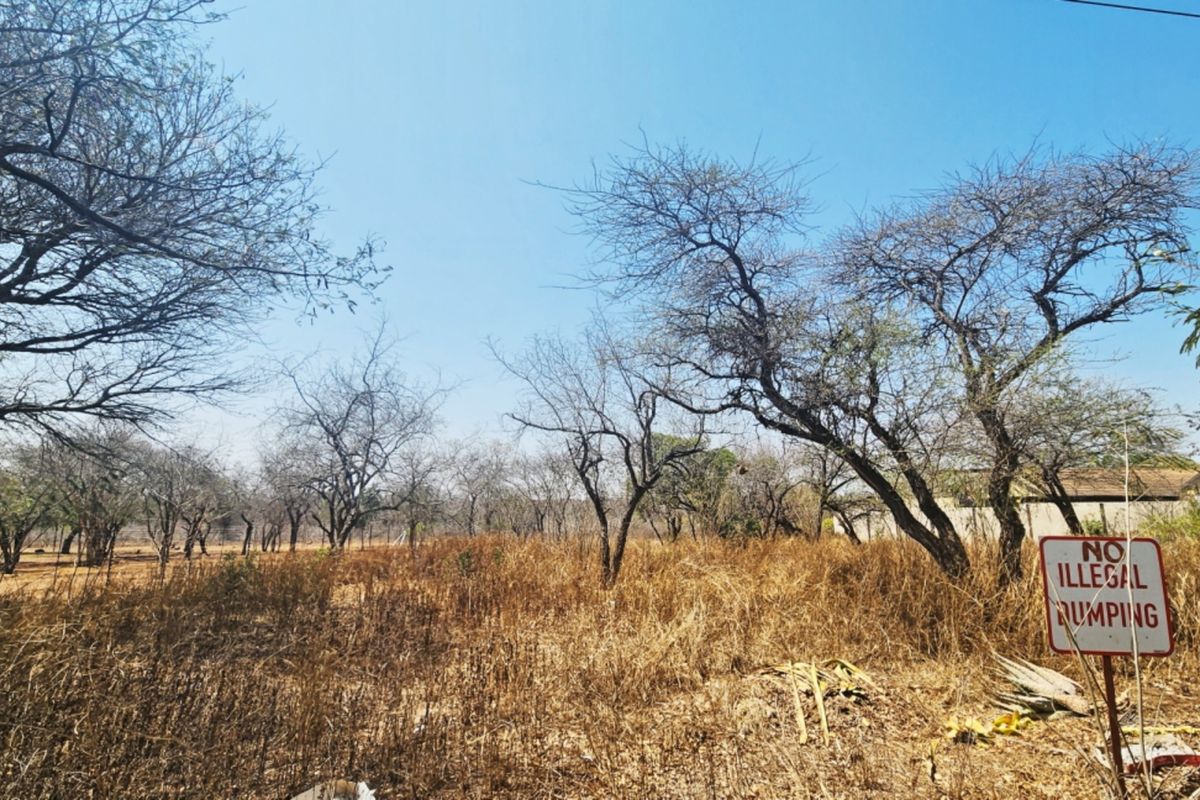 A view of a vacant residential plot featuring mature trees and dry natural vegetation.