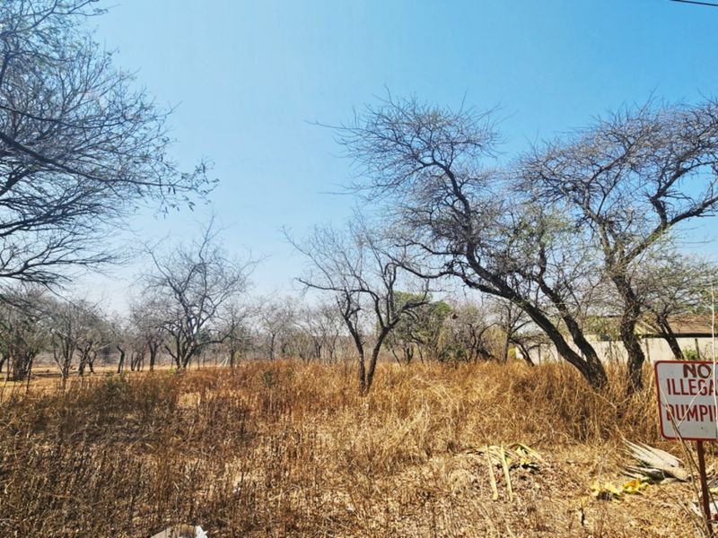 A view of a vacant residential plot featuring mature trees and dry natural vegetation.