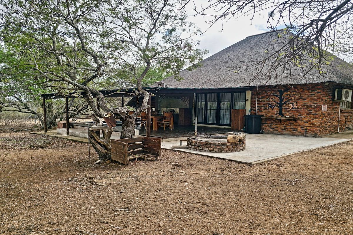 Rear view of a house featuring a thatched roof, exposed brick exterior, and a covered patio area with a built-in braai.