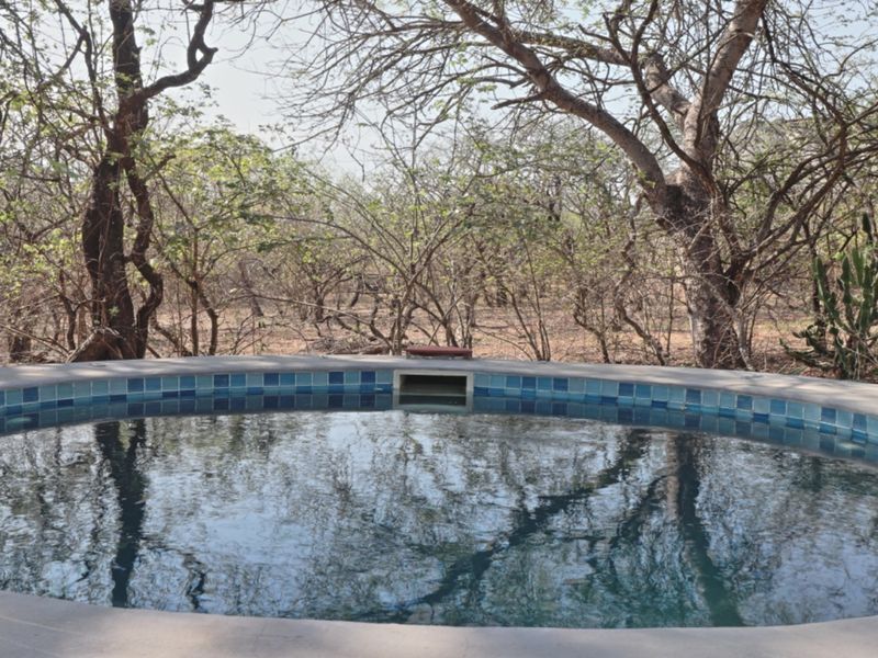 A circular swimming pool set within a natural, wooded outdoor environment, featuring tiled coping and a functional skimmer.