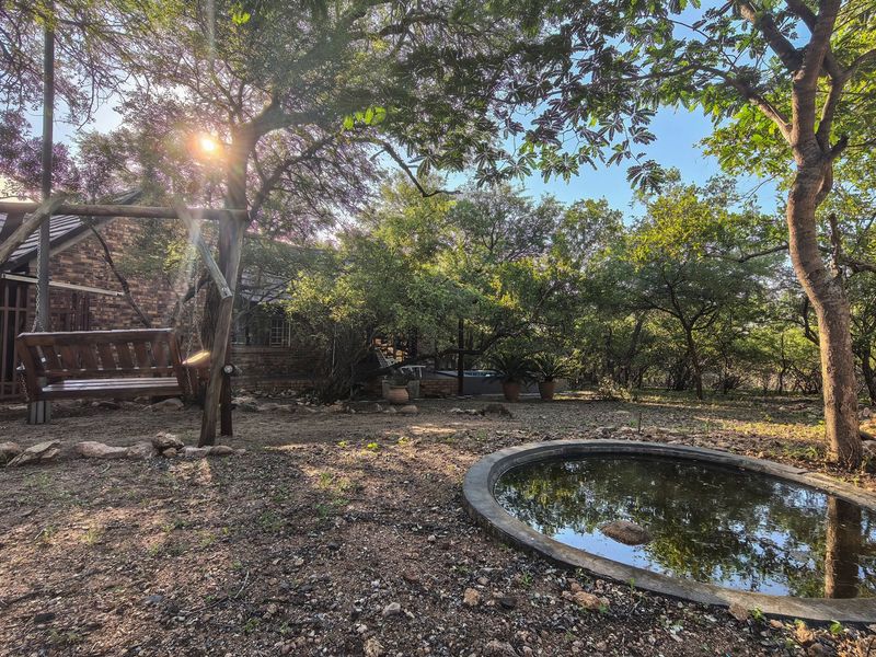 A natural garden setting featuring a circular concrete pond, mature trees, and a rustic brick exterior wall of the main dwelling.