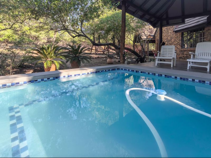 A swimming pool area featuring a tiled edge, adjacent to a covered patio with exposed brickwork and timber support posts in a natural setting.