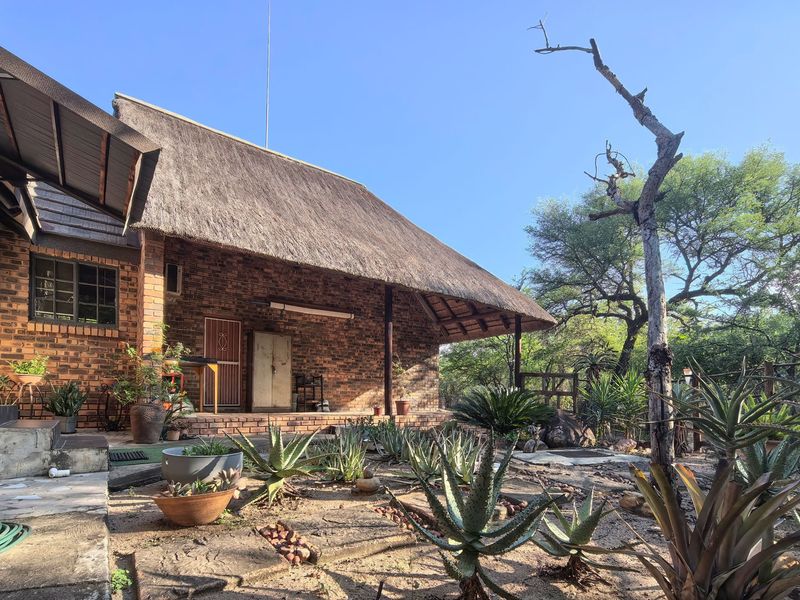Rear view of a face brick house featuring a traditional thatch roof and a covered patio area overlooking a natural garden.