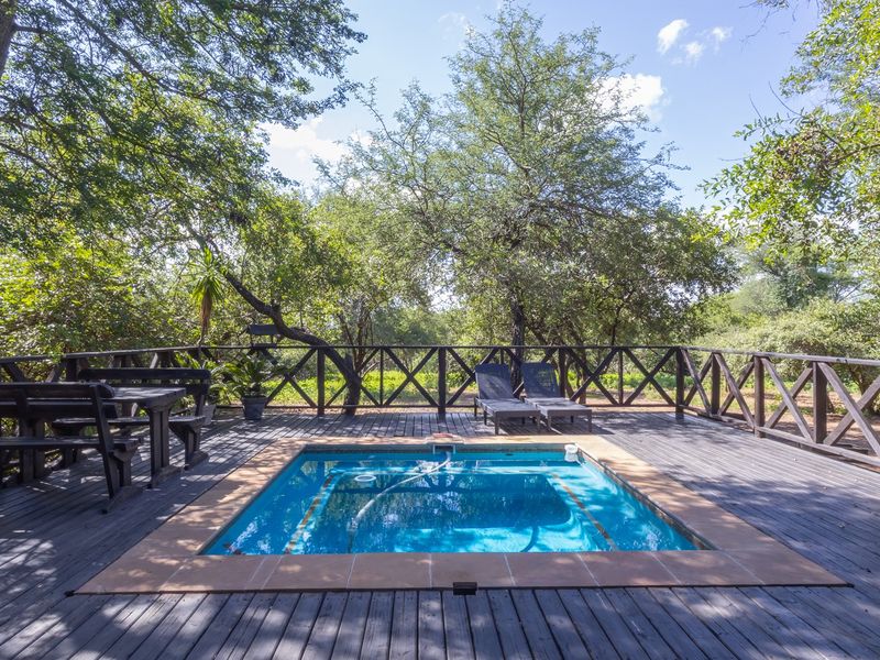 Outdoor timber deck featuring a built-in swimming pool with tiled coping, surrounded by mature trees and a wooden balustrade.