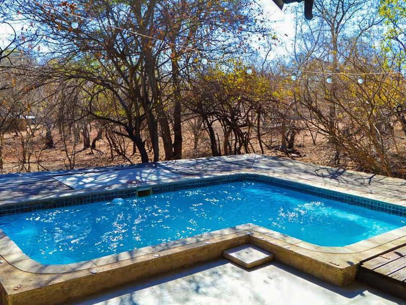 Outdoor swimming pool area featuring a tiled pool, wooden decking, and concrete patio surrounded by natural bushveld vegetation.